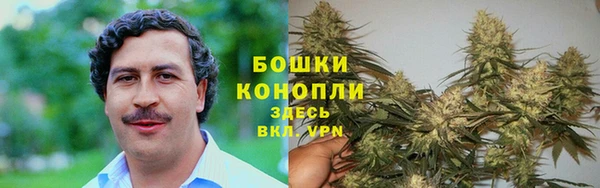 амф Нязепетровск