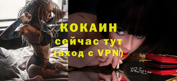 хмурый Няндома