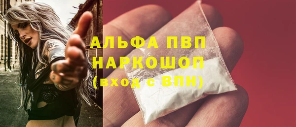 хмурый Няндома