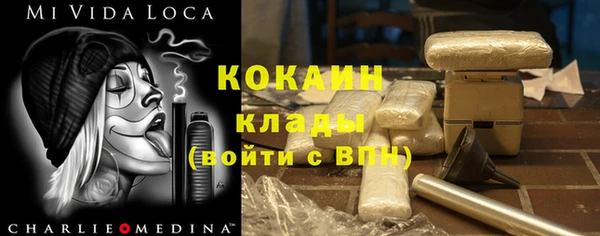 хмурый Няндома