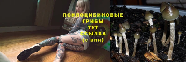 хмурый Няндома