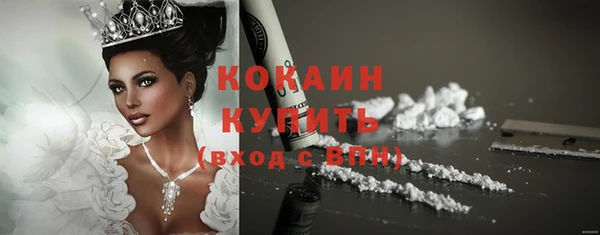 хмурый Няндома