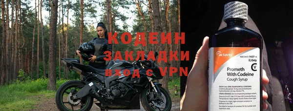 хмурый Няндома