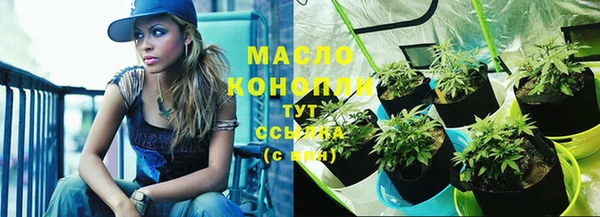 хмурый Няндома