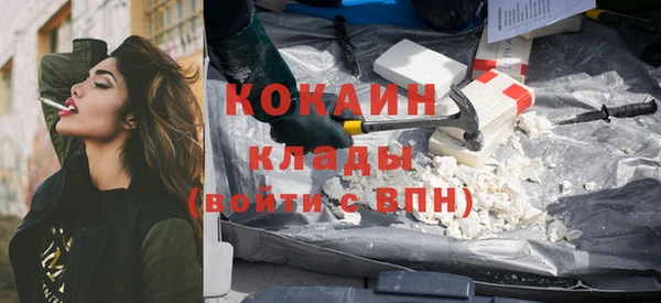 хмурый Няндома