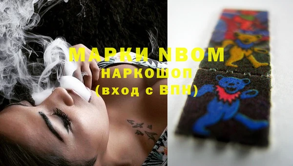 хмурый Няндома