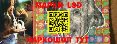 стаф Донской