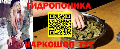 дмт Дубна