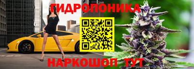дмт Дубна