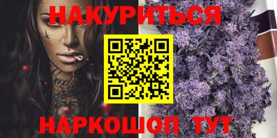 стаф Донской